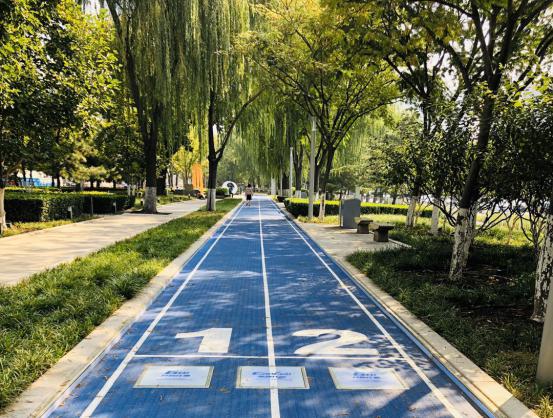 家門口的智能步道——南京花神湖智能體育公園正式開園啦！
