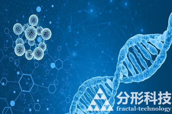 醫院網站建設：守護健康的專業醫療服務平臺